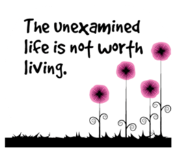 Greetings card with flower sticker #14661922