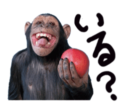 Chimpanzee Sticker2 sticker #14664342