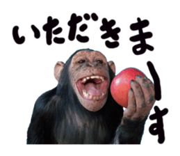 Chimpanzee Sticker2 sticker #14664343
