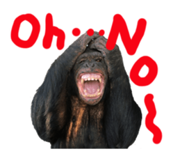Chimpanzee Sticker2 sticker #14664349