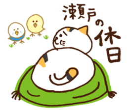 SETO sticker of a cat and parakeets! sticker #14664498