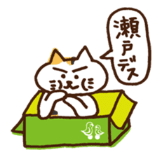 SETO sticker of a cat and parakeets! sticker #14664505