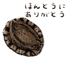 [Very] Awabi sticker #14665862