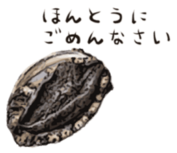 [Very] Awabi sticker #14665866