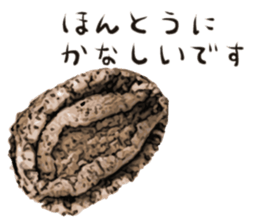 [Very] Awabi sticker #14665867