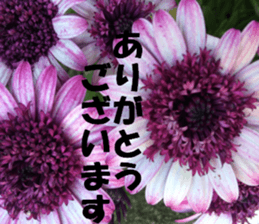 Flower's sticker sticker #14668574