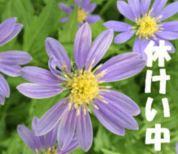 Flower's sticker sticker #14668591