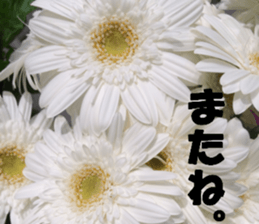 Flower's sticker sticker #14668593