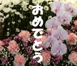 Flower's sticker sticker #14668601