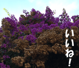 Flower's sticker sticker #14668603