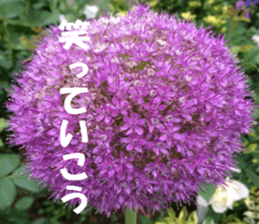 Flower's sticker sticker #14668609