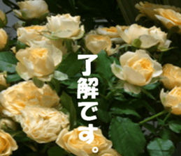 Flower's sticker sticker #14668611