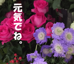 Flower's sticker sticker #14668613