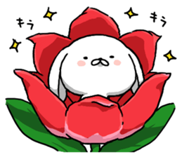 inukoro-san in spring sticker #14668881