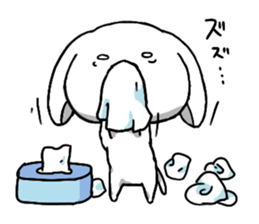 inukoro-san in spring sticker #14668900