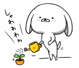 inukoro-san in spring sticker #14668906