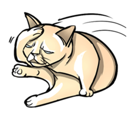 Actually I'm cat! Ver.2 sticker #14672434