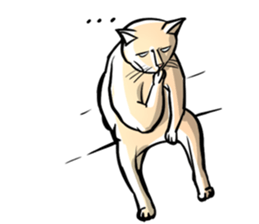 Actually I'm cat! Ver.2 sticker #14672438