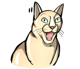 Actually I'm cat! Ver.2 sticker #14672445