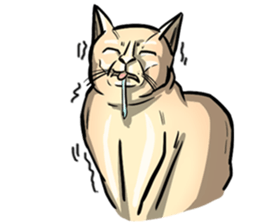 Actually I'm cat! Ver.2 sticker #14672464