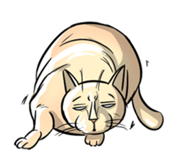 Actually I'm cat! Ver.2 sticker #14672467