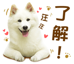 MI ER LIFE 2 sticker #14674642