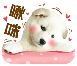 MI ER LIFE 2 sticker #14674644