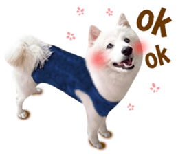 MI ER LIFE 2 sticker #14674645