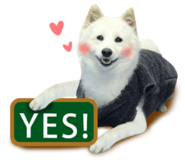 MI ER LIFE 2 sticker #14674651