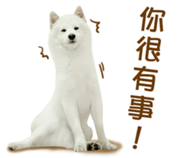 MI ER LIFE 2 sticker #14674654