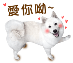 MI ER LIFE 2 sticker #14674655