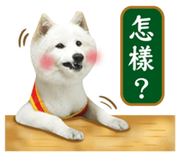 MI ER LIFE 2 sticker #14674657