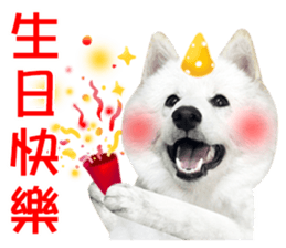 MI ER LIFE 2 sticker #14674660