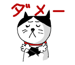 Sochi cat sticker #14676432