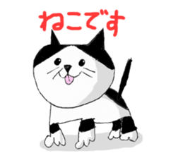 Sochi cat sticker #14676439