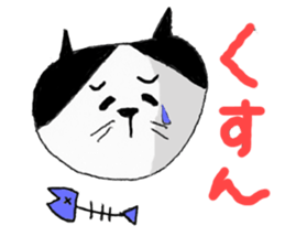 Sochi cat sticker #14676440