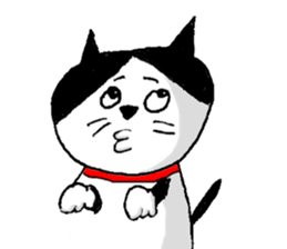 Sochi cat sticker #14676444