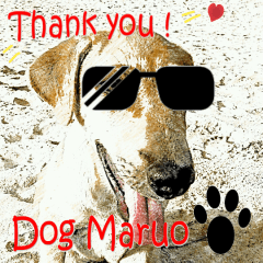 Dog maruo everydays Photo sticker