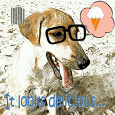 Dog maruo everydays Photo sticker sticker #14677786