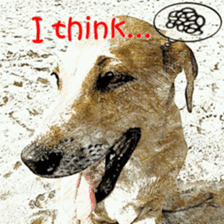 Dog maruo everydays Photo sticker sticker #14677792