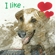 Dog maruo everydays Photo sticker sticker #14677801