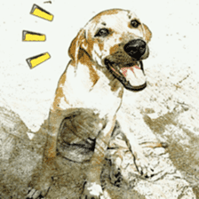 Dog maruo everydays Photo sticker sticker #14677813