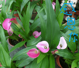 Wonderful wonderful sticker #14678830