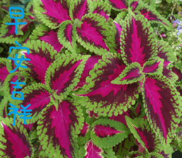 Wonderful wonderful sticker #14678831