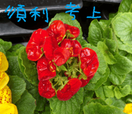 Wonderful wonderful sticker #14678833