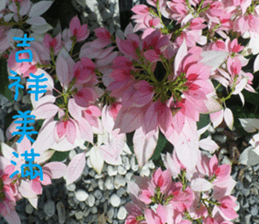 Wonderful wonderful sticker #14678834