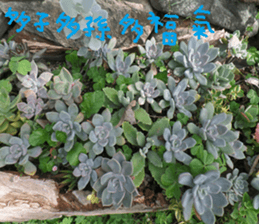 Wonderful wonderful sticker #14678835