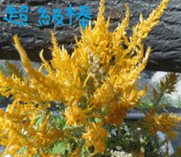 Wonderful wonderful sticker #14678836