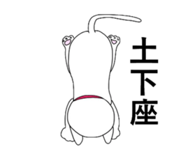 The Apology CAT sticker #14680282