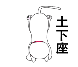 The Apology CAT sticker #14680282